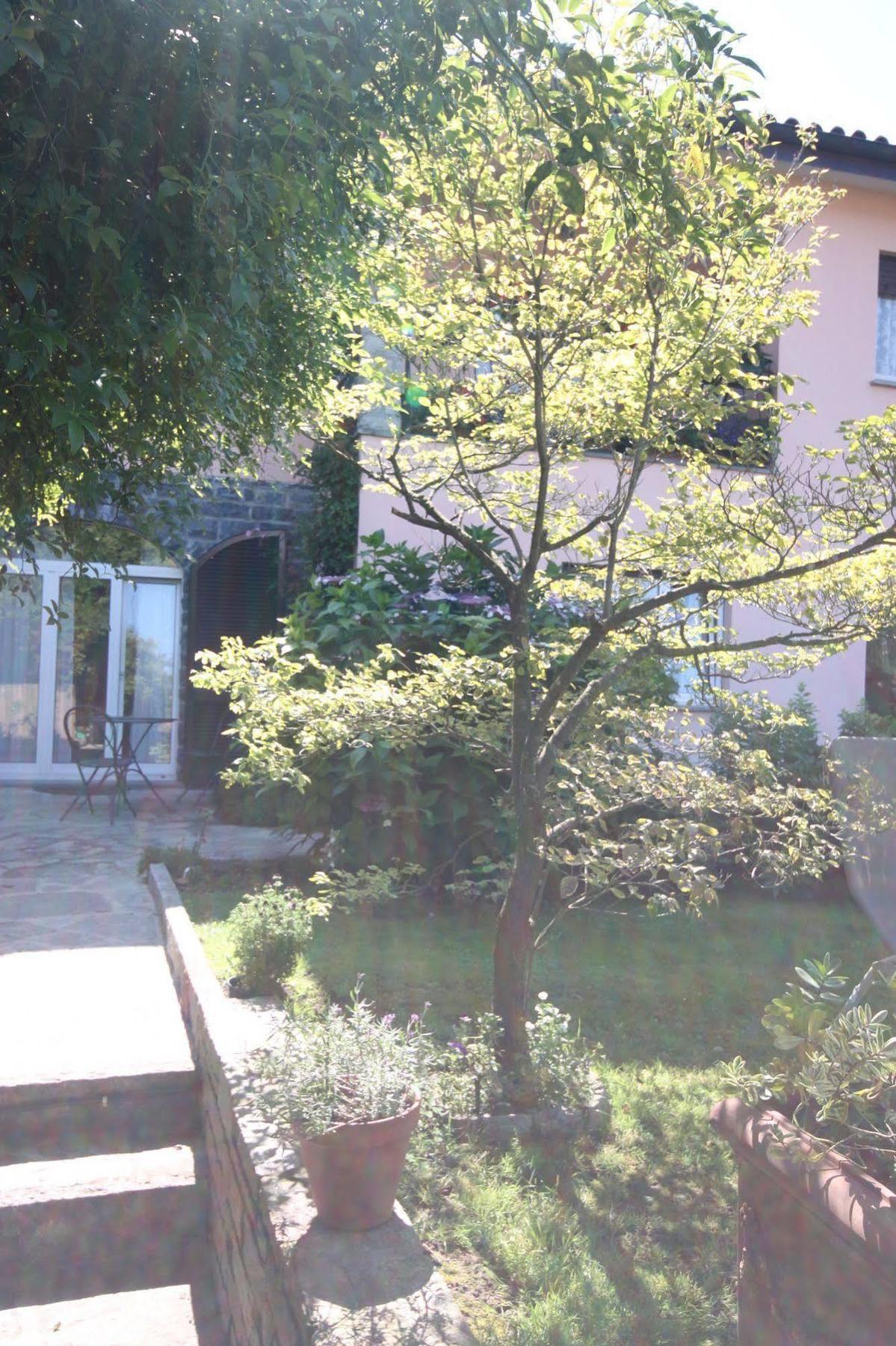 Balcone Fiorito Bed & Breakfast Menaggio Eksteriør bilde