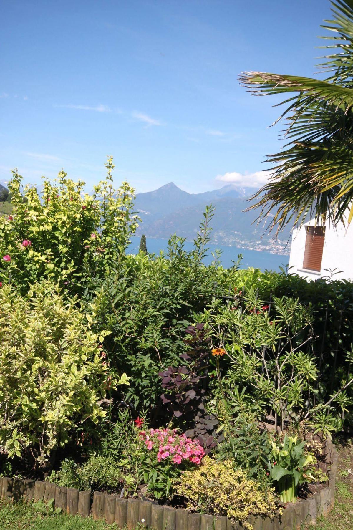 Balcone Fiorito Bed & Breakfast Menaggio Eksteriør bilde
