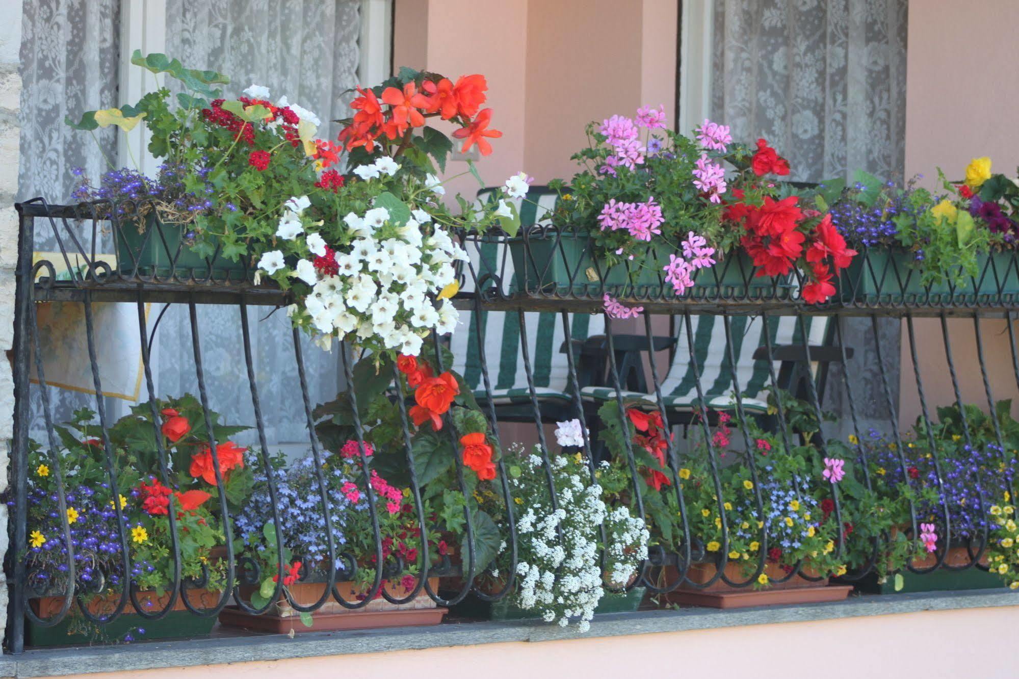 Balcone Fiorito Bed & Breakfast Menaggio Eksteriør bilde